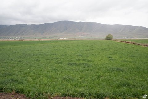 51 Acres Farm Ground For Sale