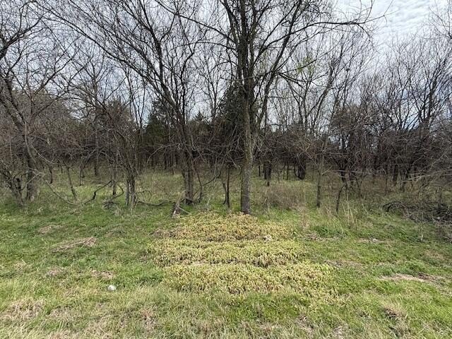 Forested Land in Sarcoxie, MO