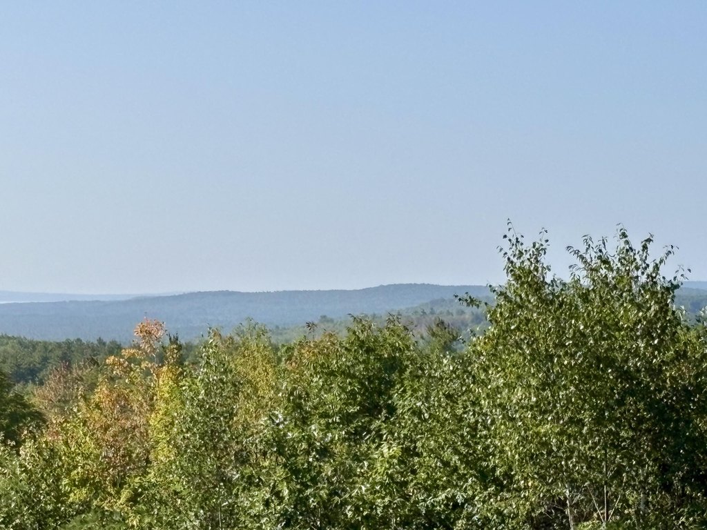 Picture 7