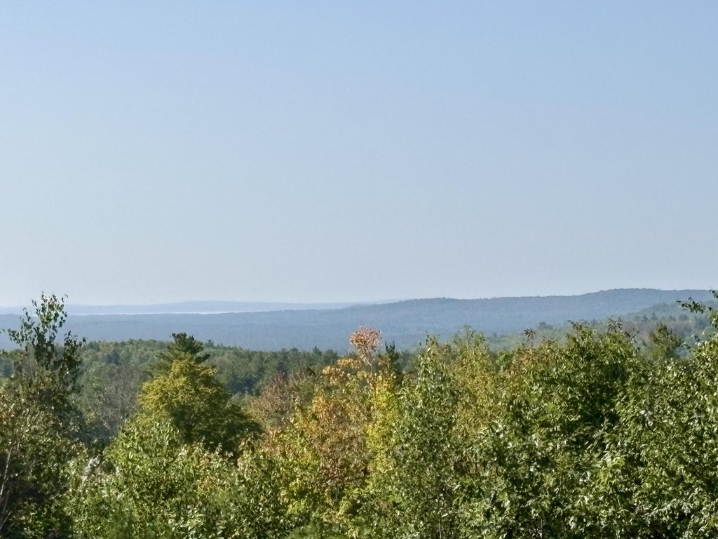 Picture 8