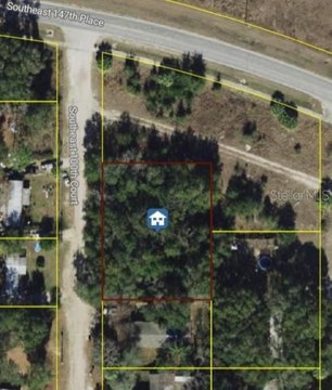 LAND - SUMMERFIELD, FL