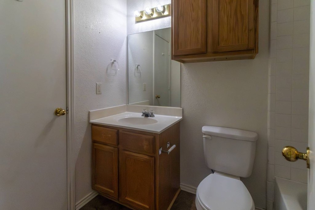 Picture 19