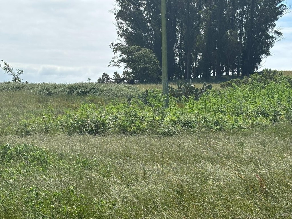 Picture 24