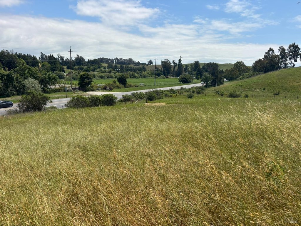 Picture 21
