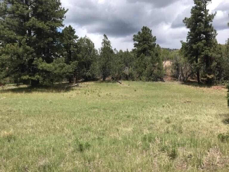 Kolob Land Near Zion Park
