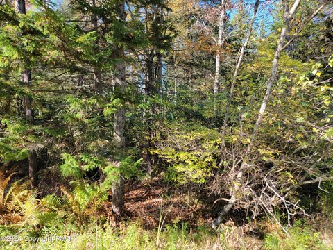 Land, Gouldsboro, PA