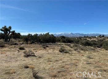 LAND - Phelan, CA