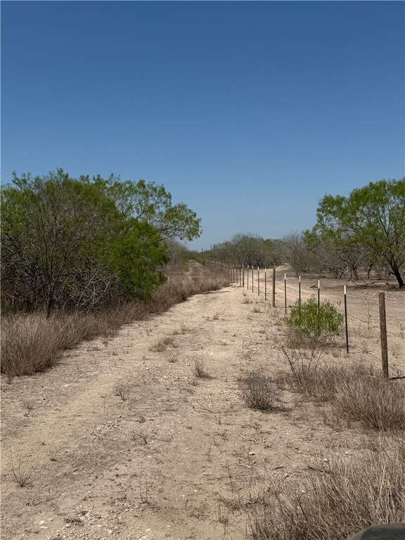 Picture 5