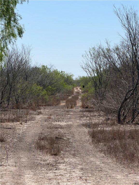Picture 6