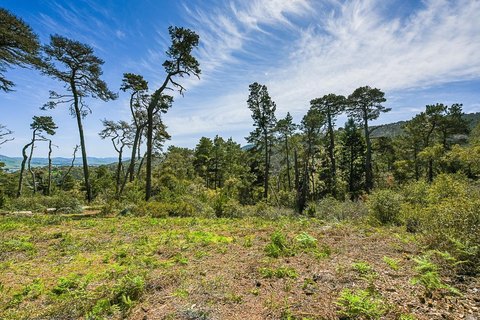 Inverness Residential Lot with Views