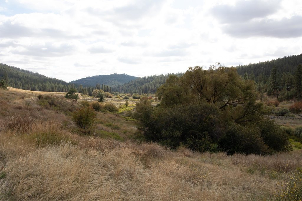 Picture 40