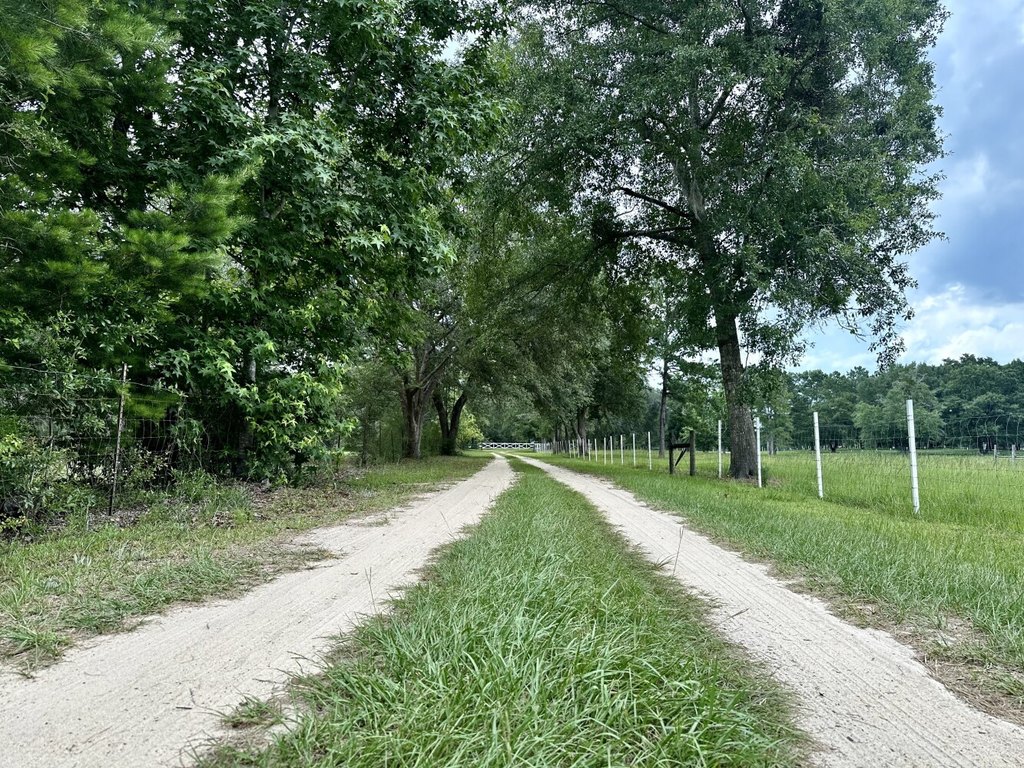 Picture 21