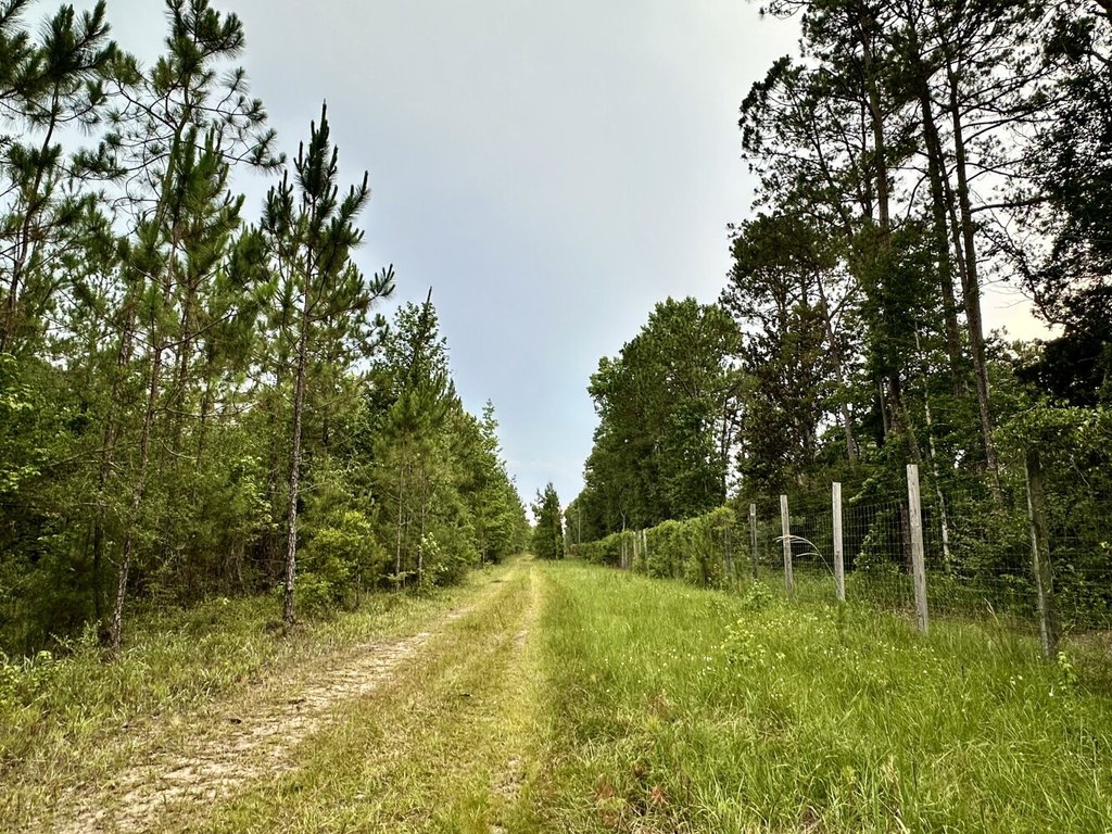 Picture 48