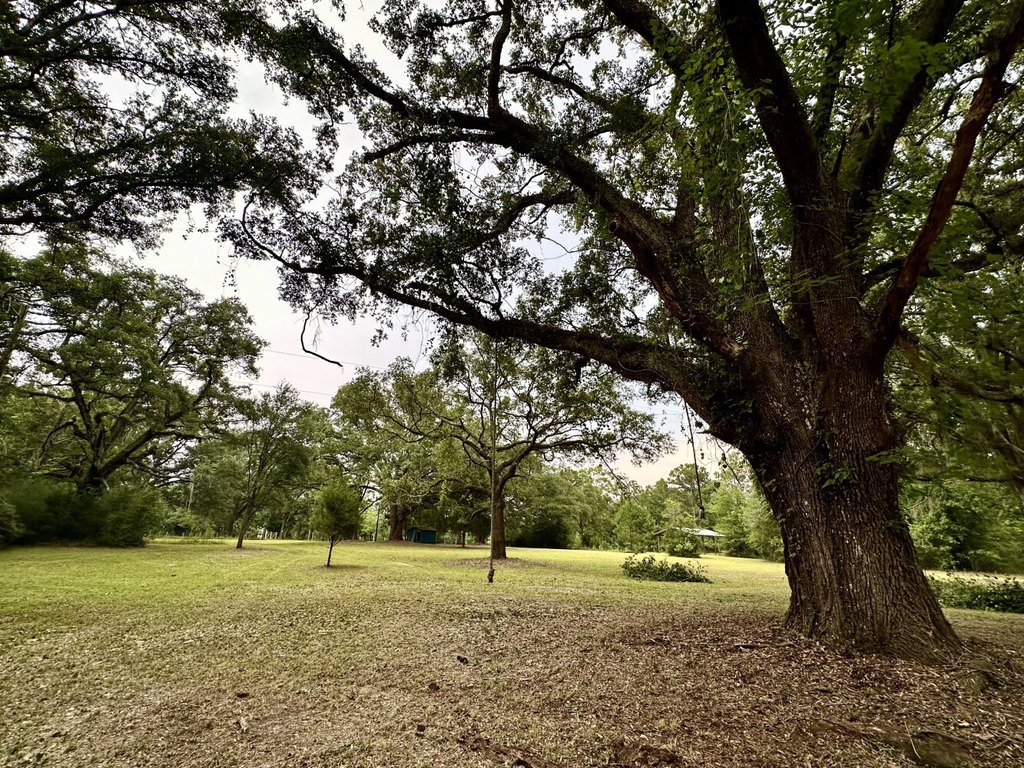 Picture 19