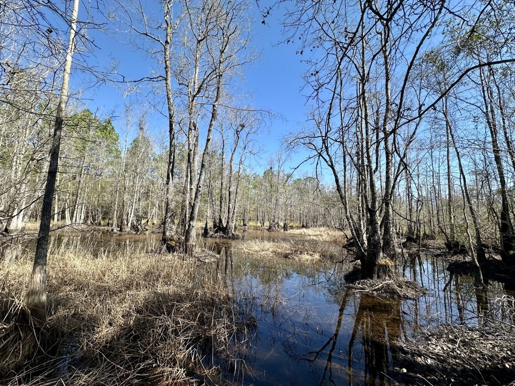 Picture 39