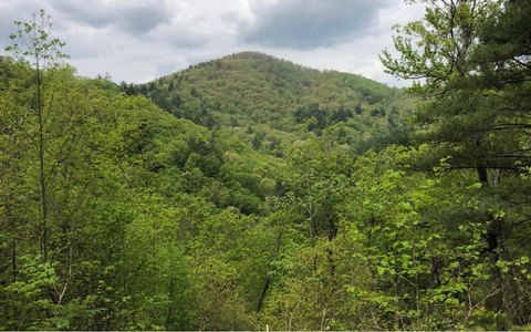 Blairsville Land with Septic Installed