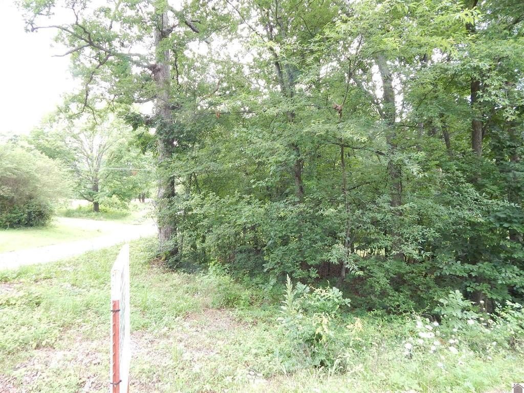 Picture 8