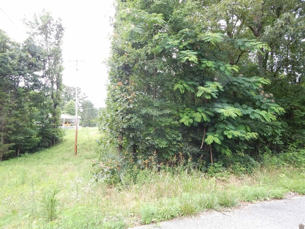 Picture 7
