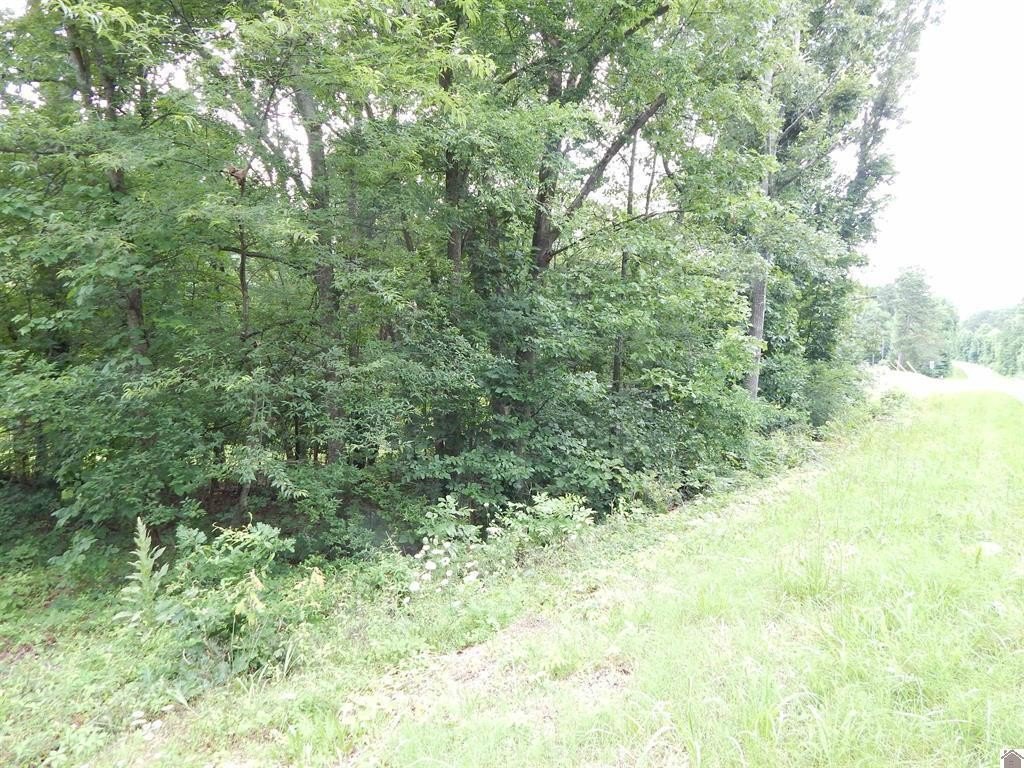 Picture 5