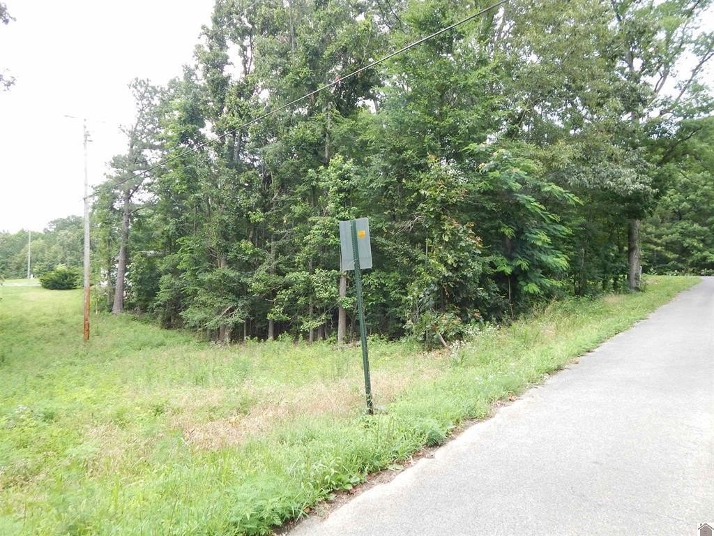 Picture 6