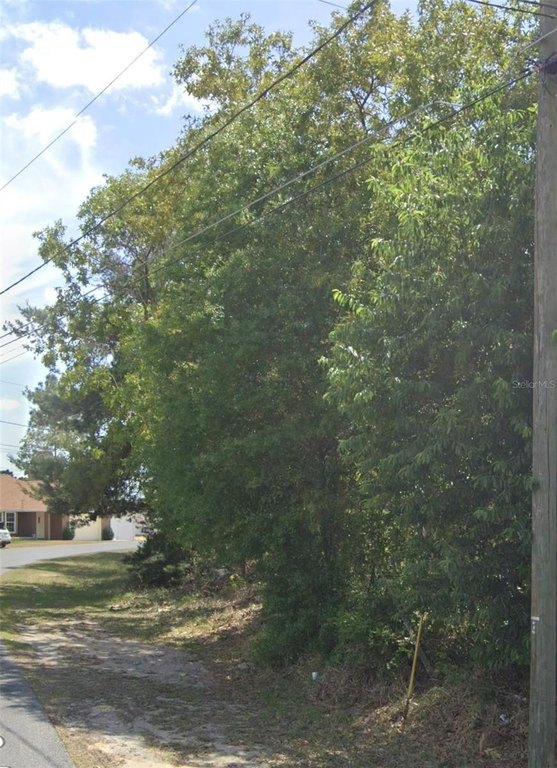 Picture 3