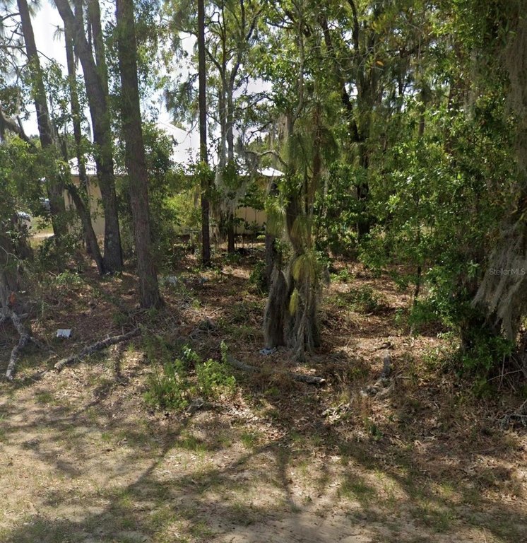 Picture 5