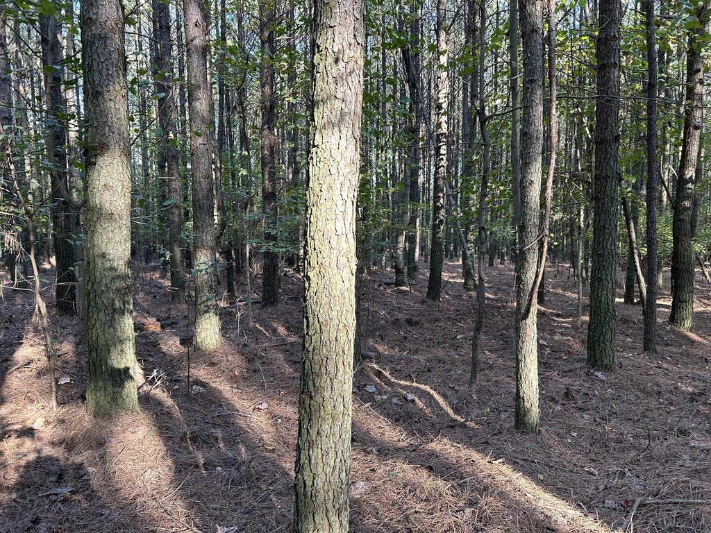 Picture 13