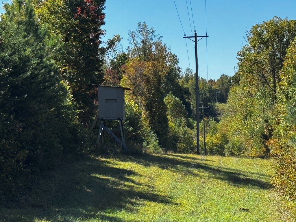 Picture 2
