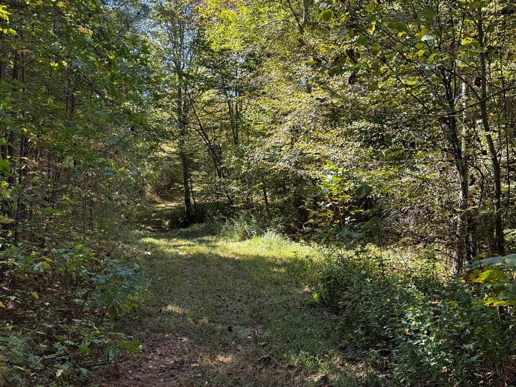 Picture 28