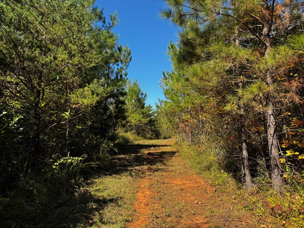 Picture 27