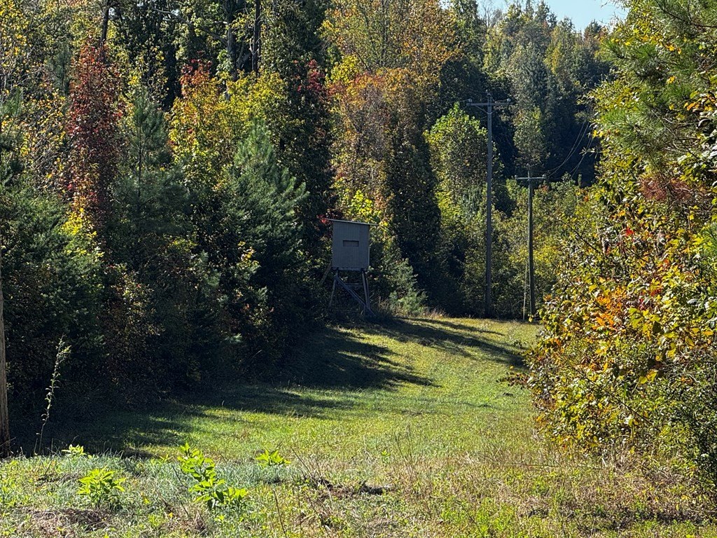 Picture 4