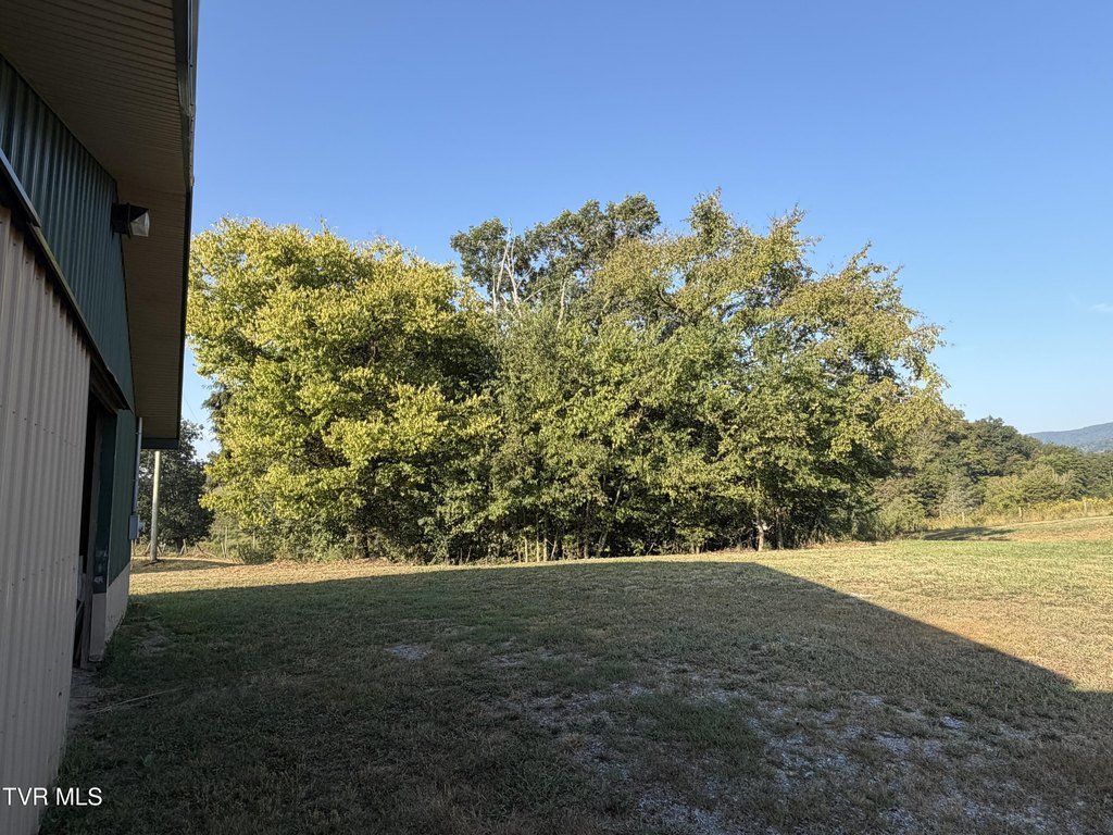 Picture 15
