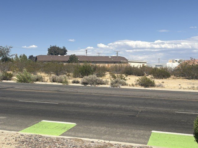 Picture 8