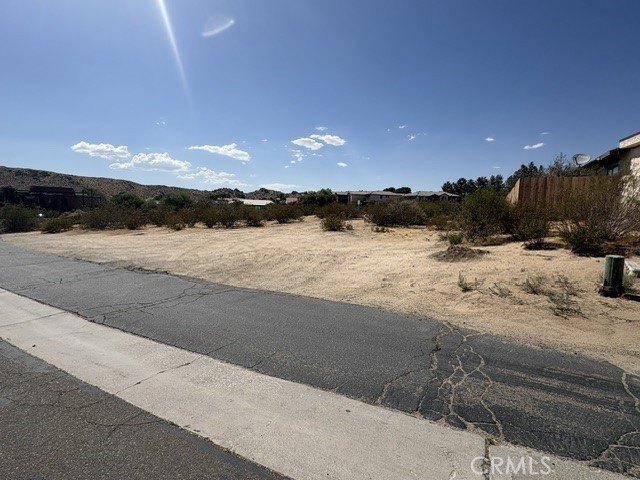 Picture 7