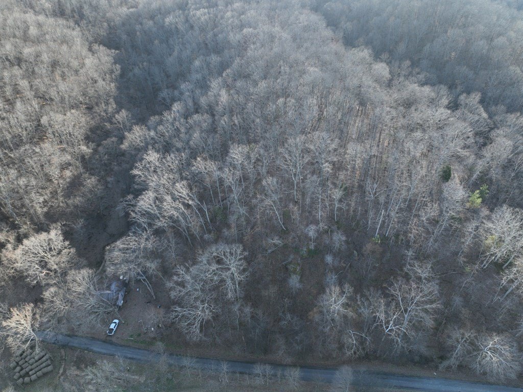 Picture 3