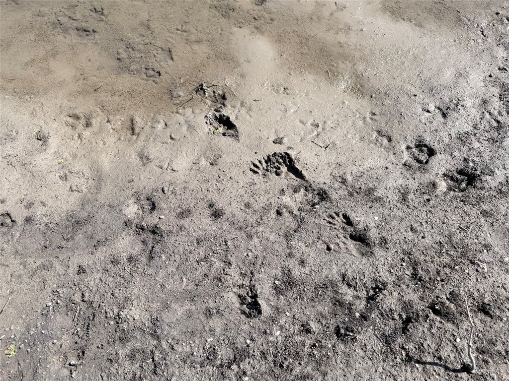 Picture 11