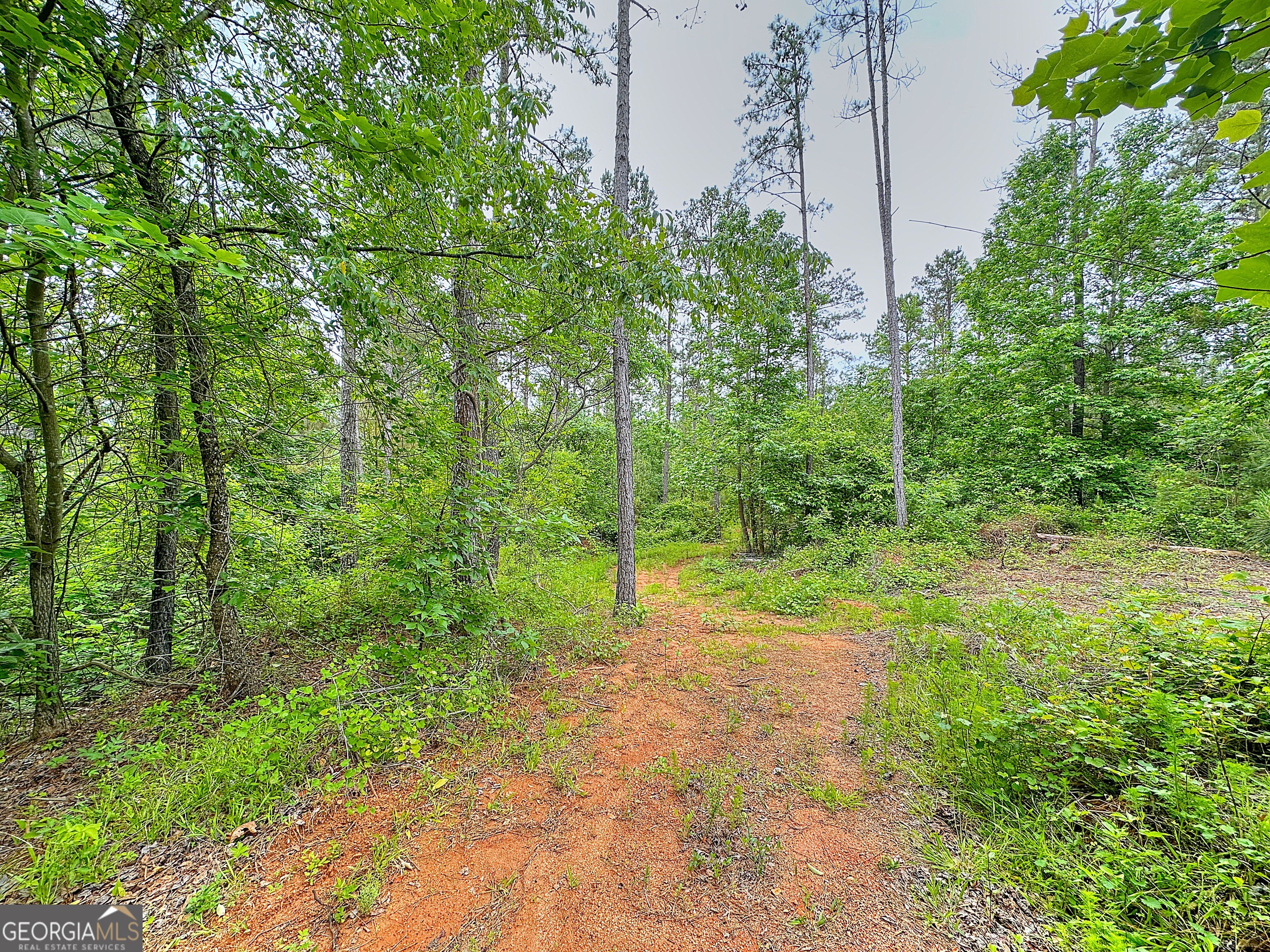 Heard County Land Tract