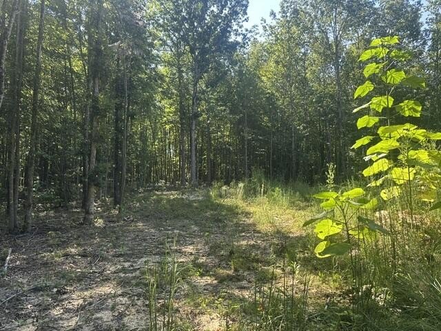 Picture 29