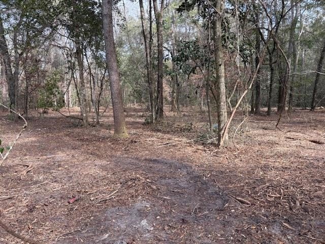 Crawfordville Vacant Lot on Tharpe