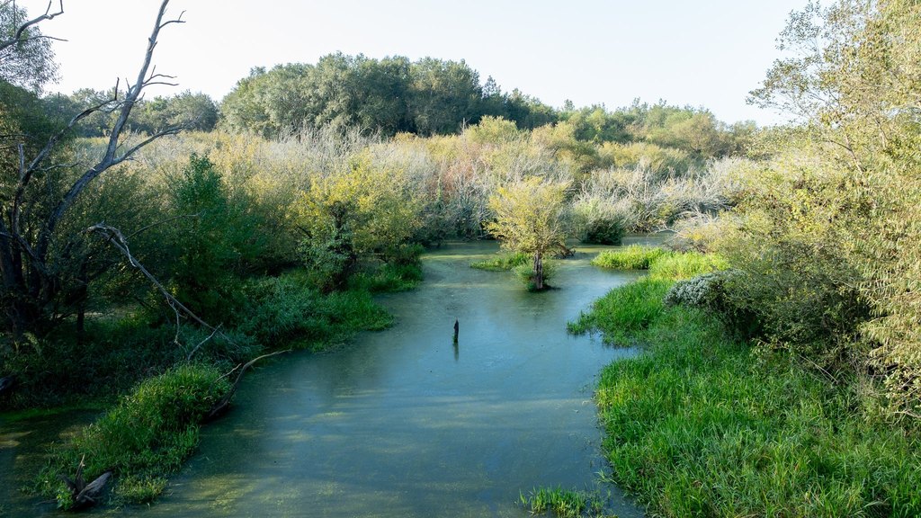 Picture 17