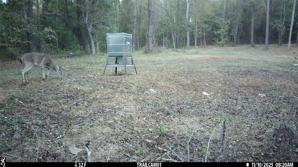 Picture 39
