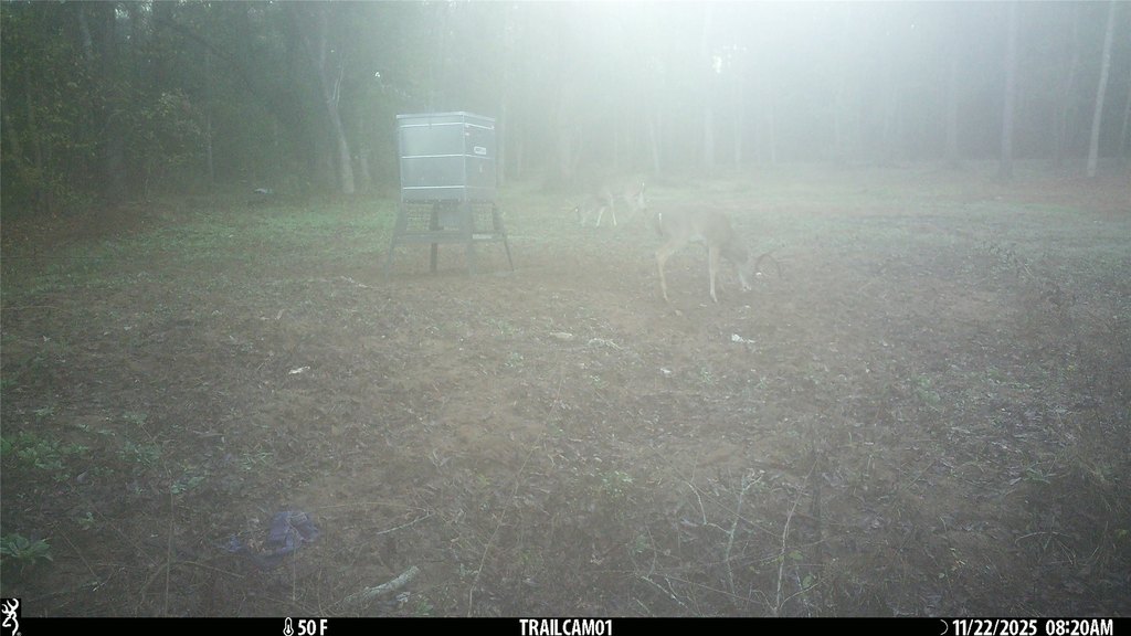 Picture 37