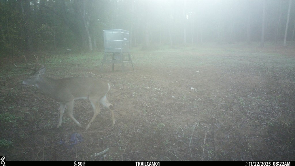 Picture 36