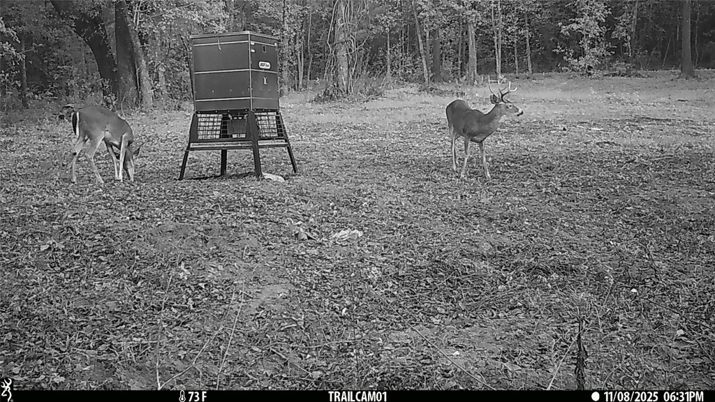 Picture 4