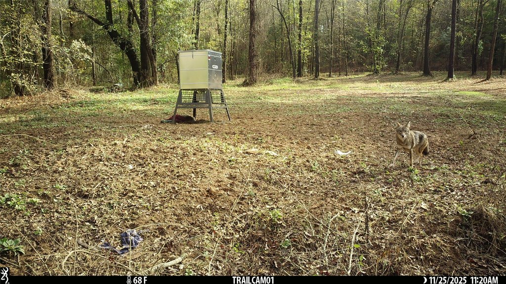 Picture 30
