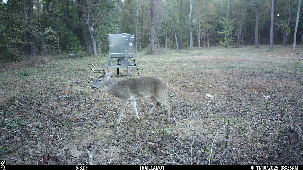 Picture 2