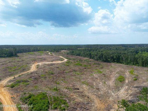 LAND - Bogue Chitto, MS