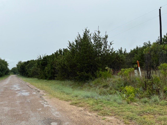 Picture 7