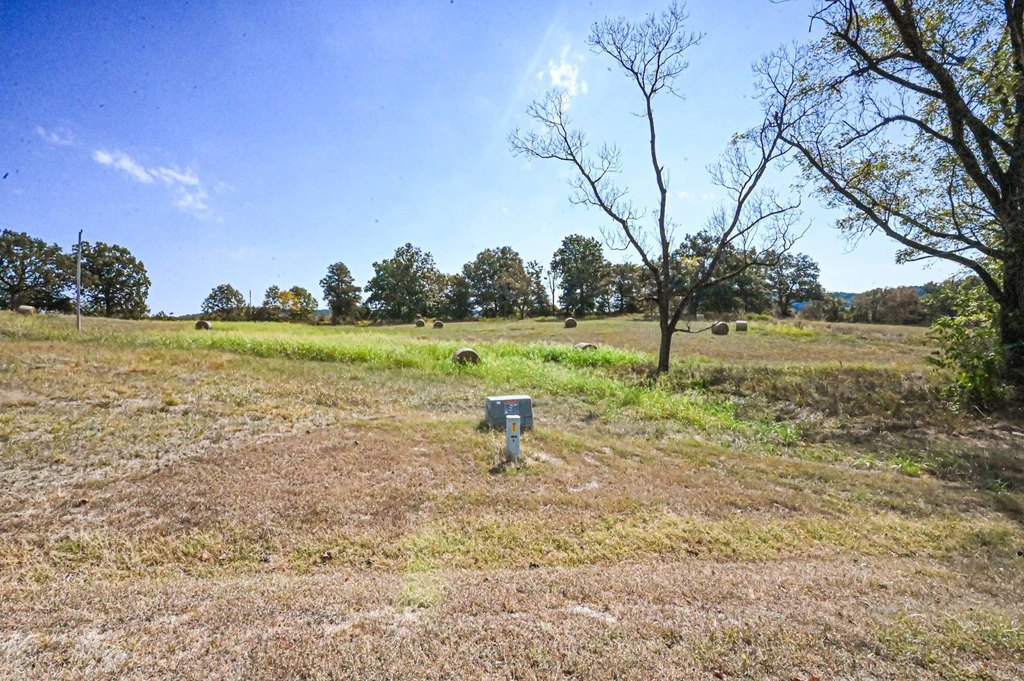 Picture 6