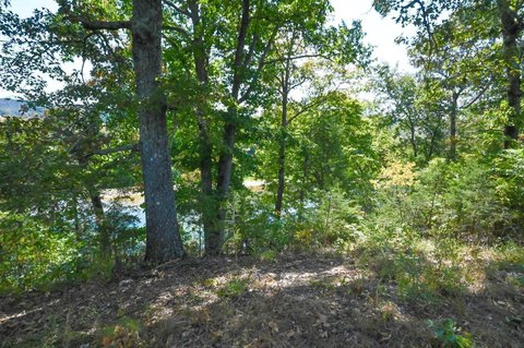Land, Tecumseh, MO